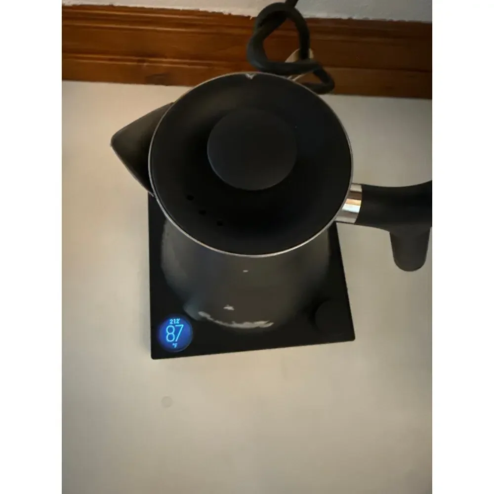 Fellow Costco EKG Matte Black Kettle